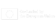 European Union flag with VANTAGE logo